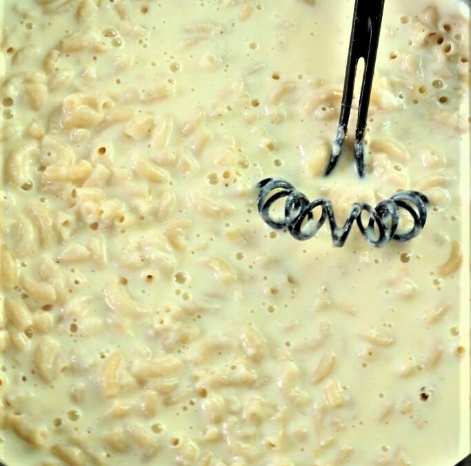 IMG_5442-683×1025 (4)