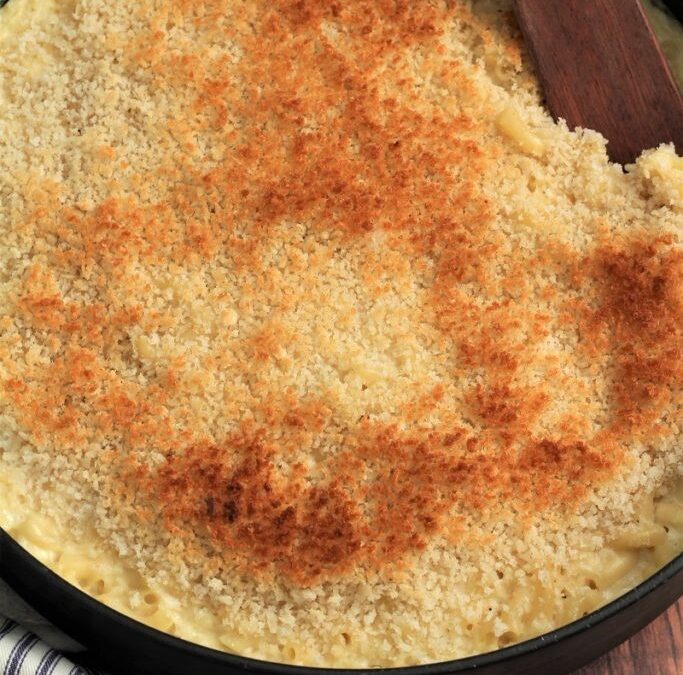 IMG_5451-683×1025 (2)