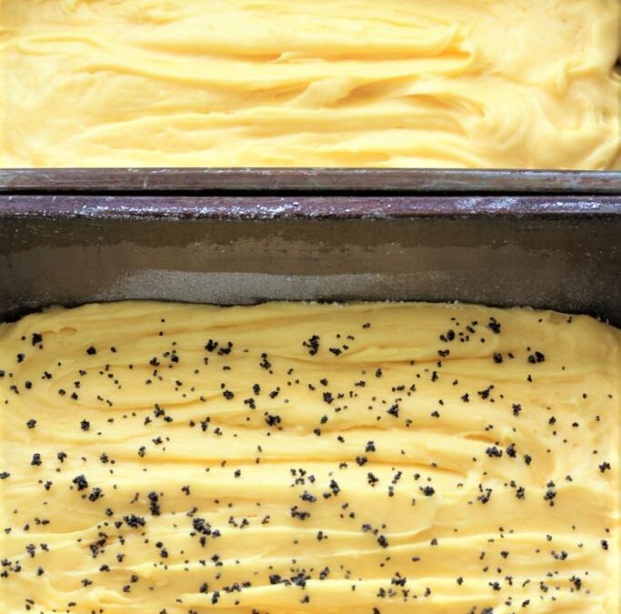 IMG_5666-683×1025 (2)