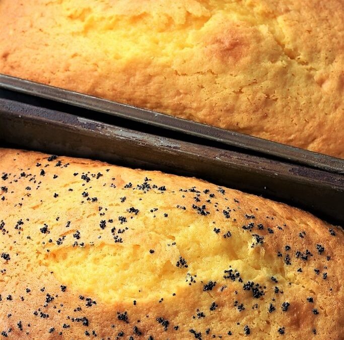 IMG_5681-2-683×1025 (2)