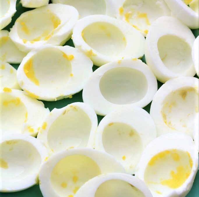 IMG_5948-683×1025 (2)