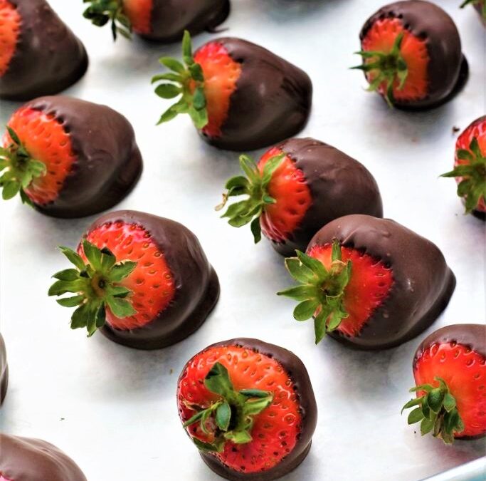 IMG_6073-683×1025 (2)