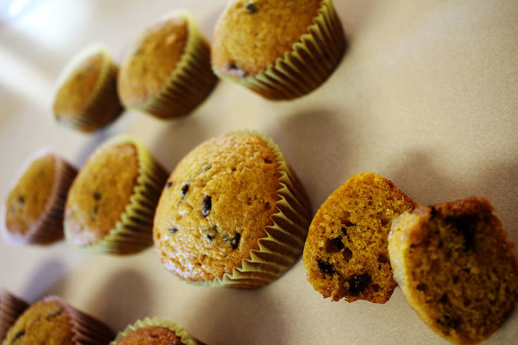 Pumpkin Chocolate Chip Muffins