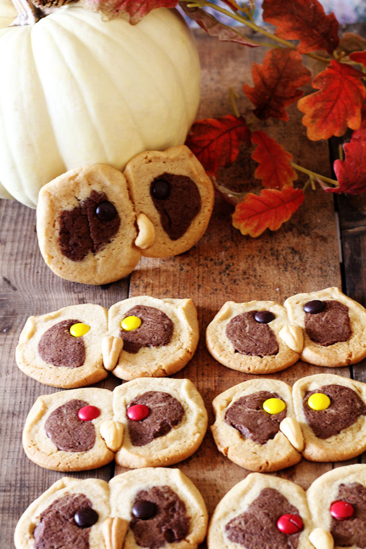 Owl Cookies