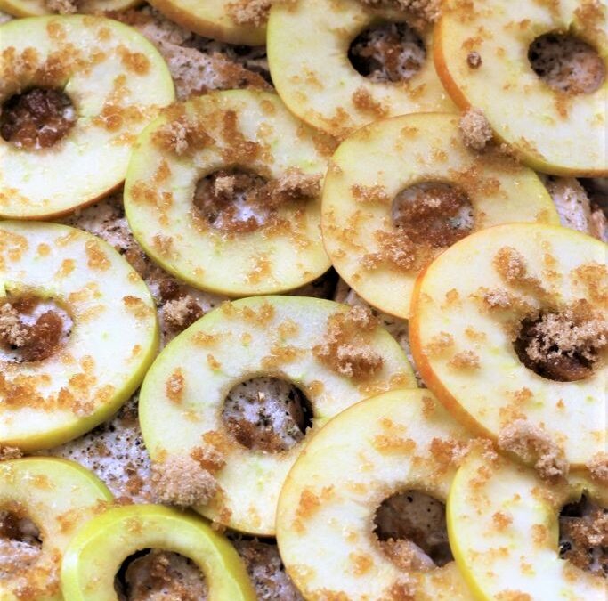 IMG_6552-683×1025 (2)