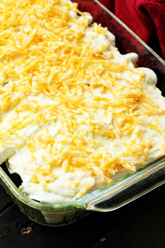 Chicken Enchiladas