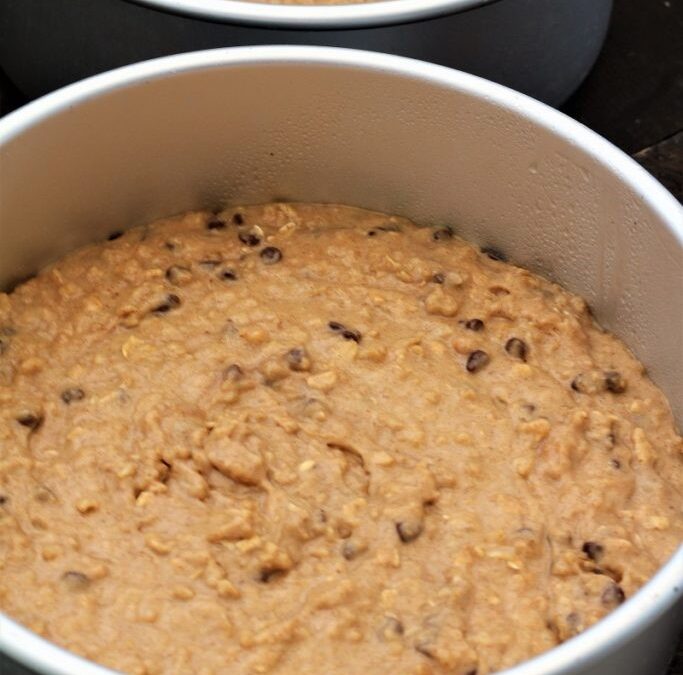 IMG_7054-683×1025 (2)