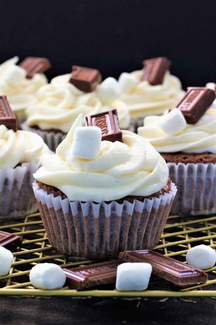 Amazing Smore Brownies