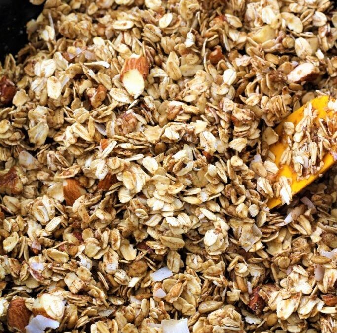 IMG_7829-683×1025 (2)