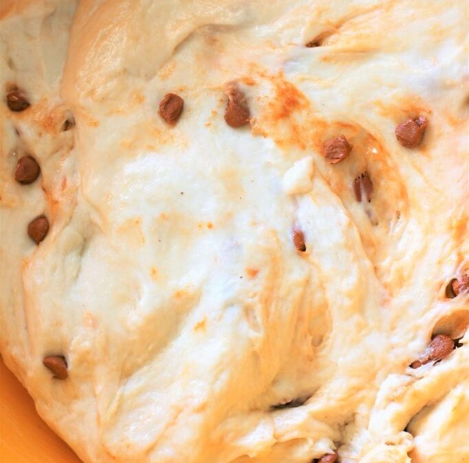 IMG_7967-683×1025 (2)