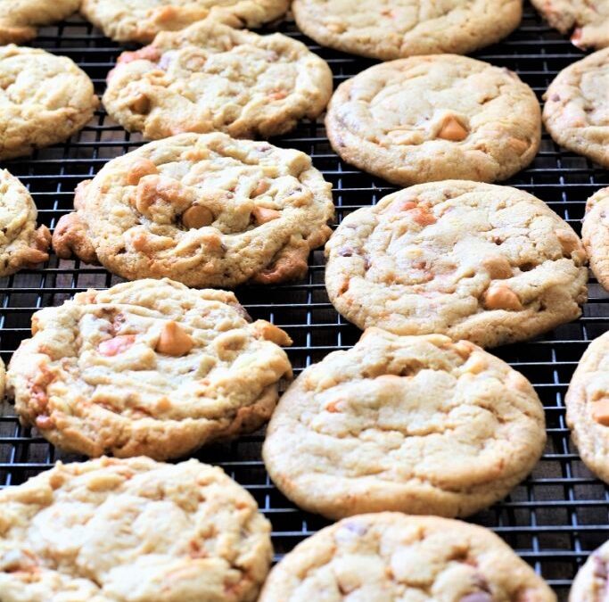 IMG_8131-683×1025 (2)