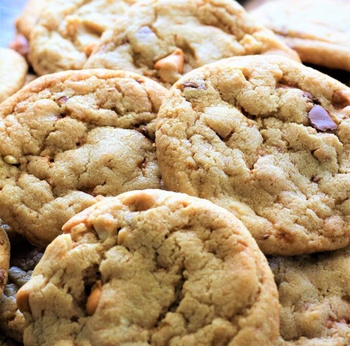 IMG_8148-683×1025 (2)