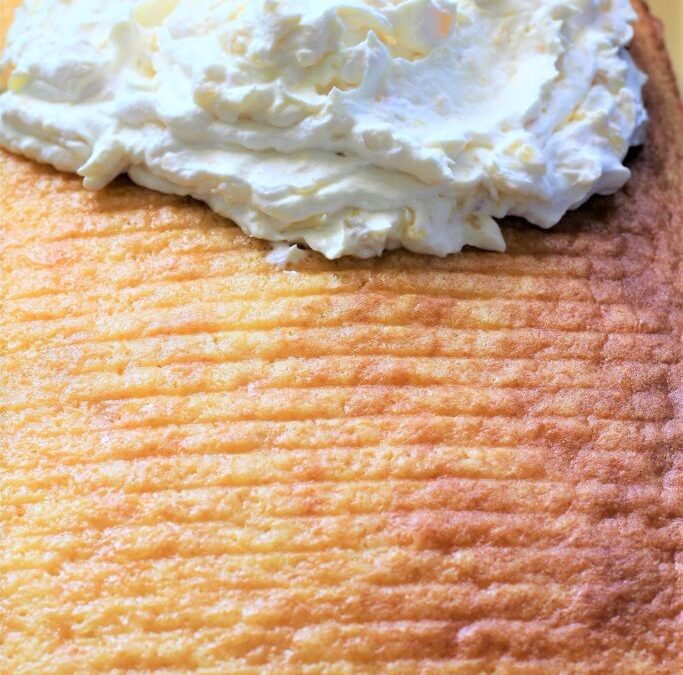 IMG_8467-683×1025 (2)