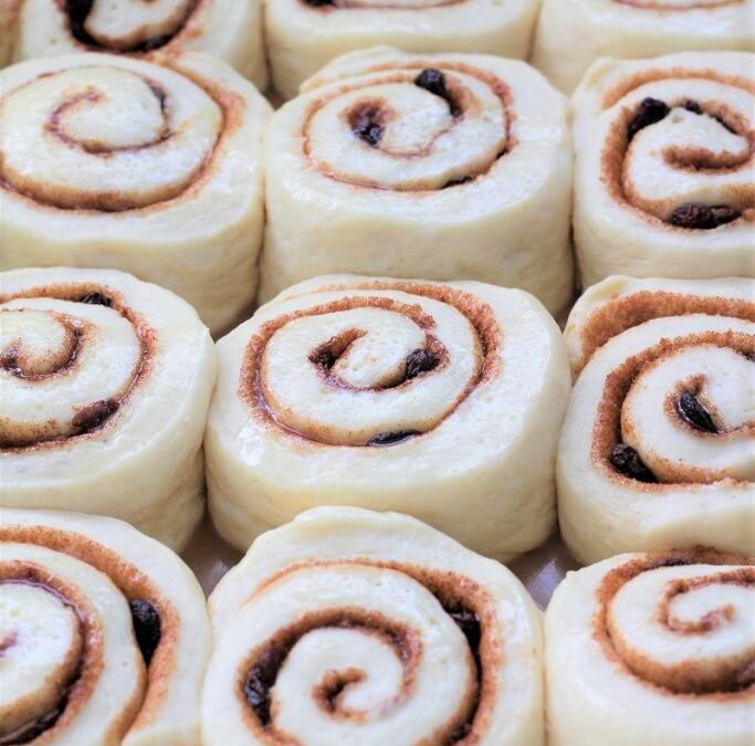 IMG_9215-683×1025 (2)