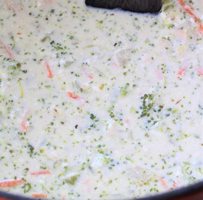 IMG_9319-683×1025 (2)