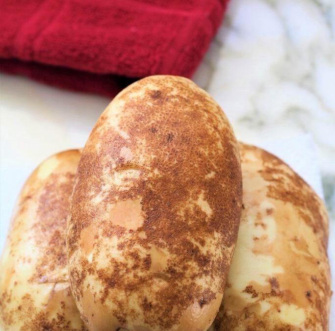 IMG_9431-683×1025 (2)