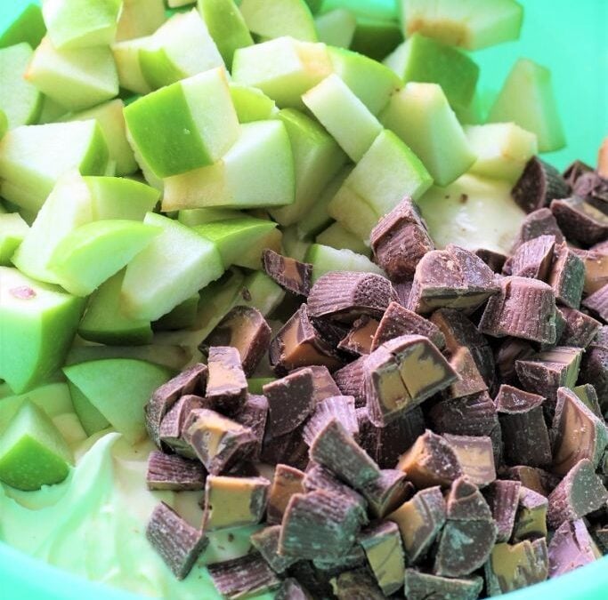 IMG_9507-683×1025 (3)