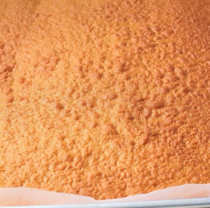 IMG_9565-683×1025 (2)