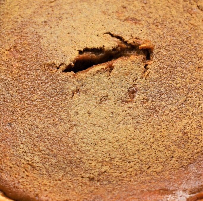 IMG_0035-683×1025 (2)