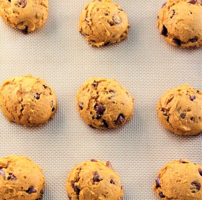 IMG_0149-683×1025 (2)