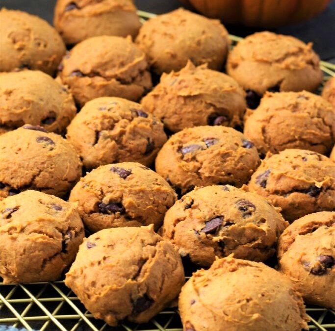 IMG_0177-683×1025 (2)