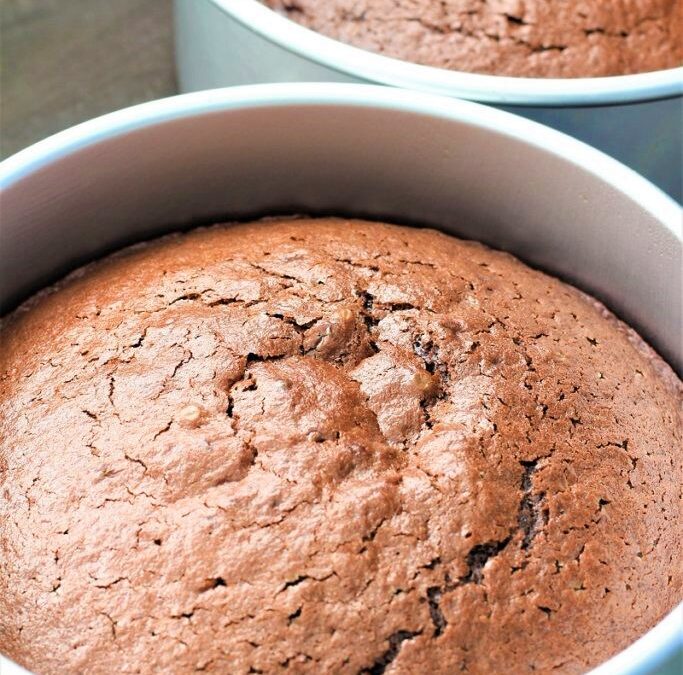 IMG_9945-683×1025 (2)