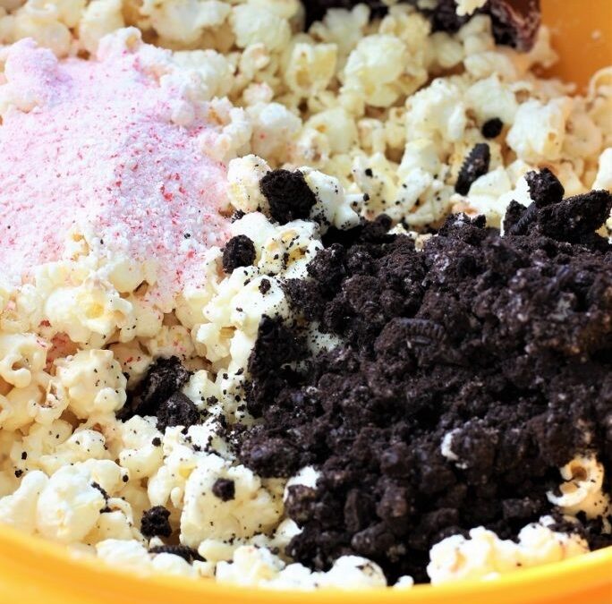 IMG_0768-684×1025 (2)