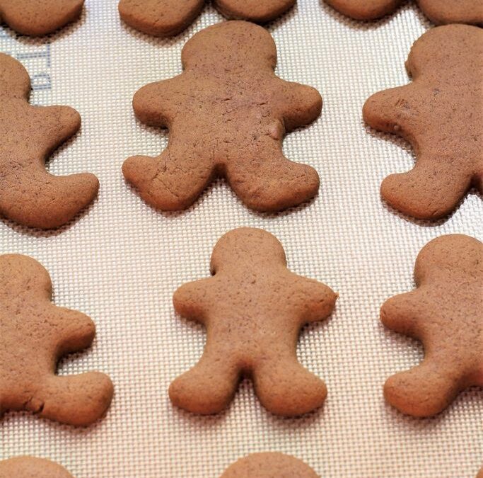 IMG_0879-683×1025 (2)