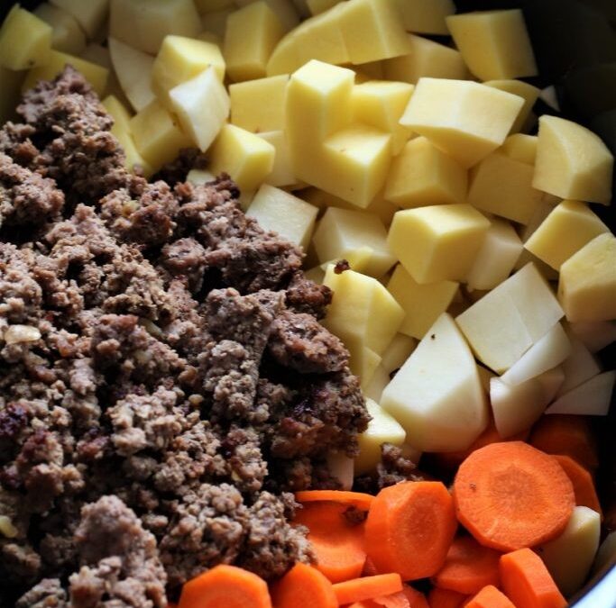 IMG_1126-683×1025 (2)