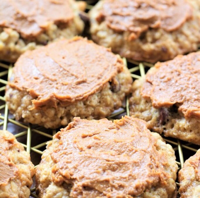 IMG_1244-683×1025 (2)