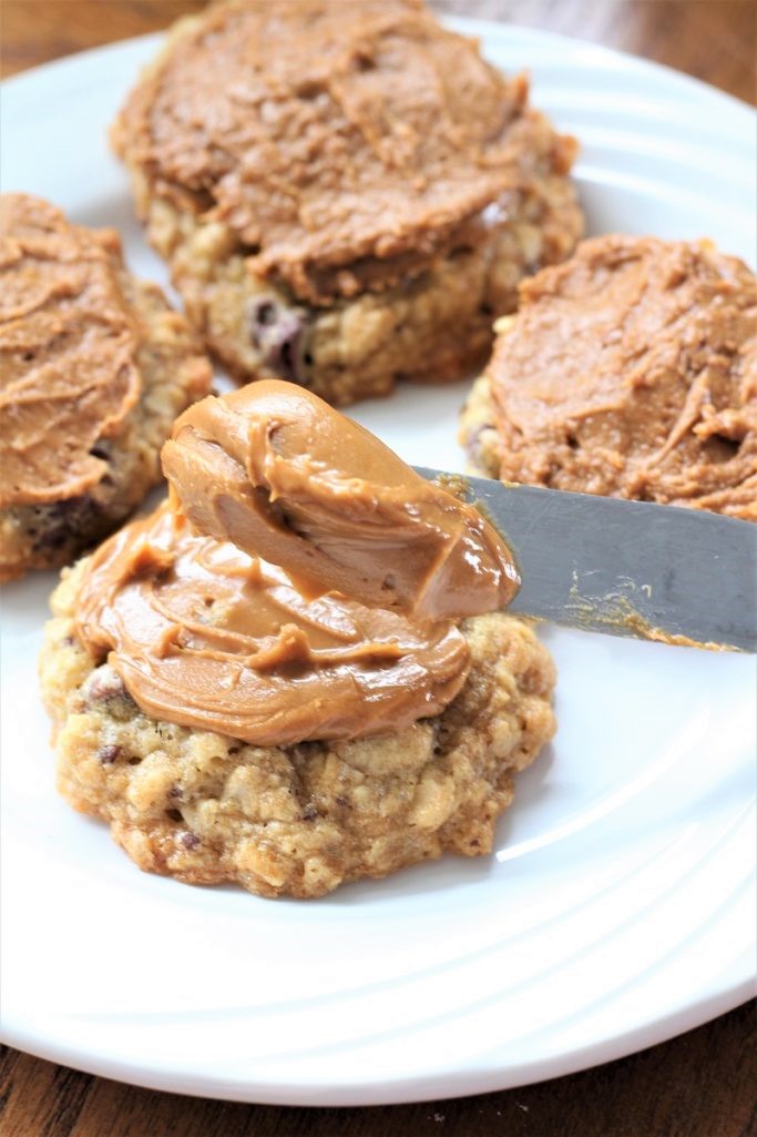 Oatmeal Chocolate Chip Cookie Butter Cookies