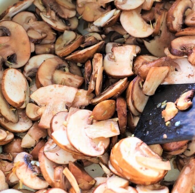 IMG_1801-683×1025 (2)