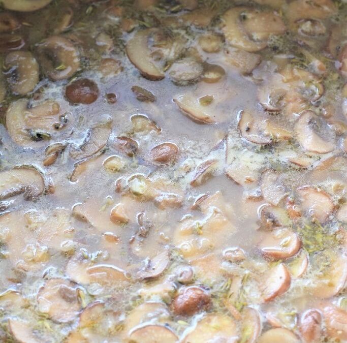 IMG_1815-683×1025 (2)