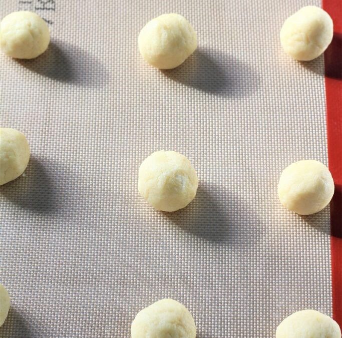 IMG_2084-683×1025 (2)