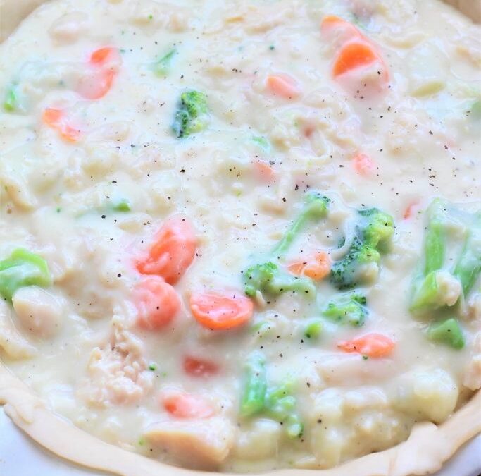 IMG_2820-683×1025 (2)