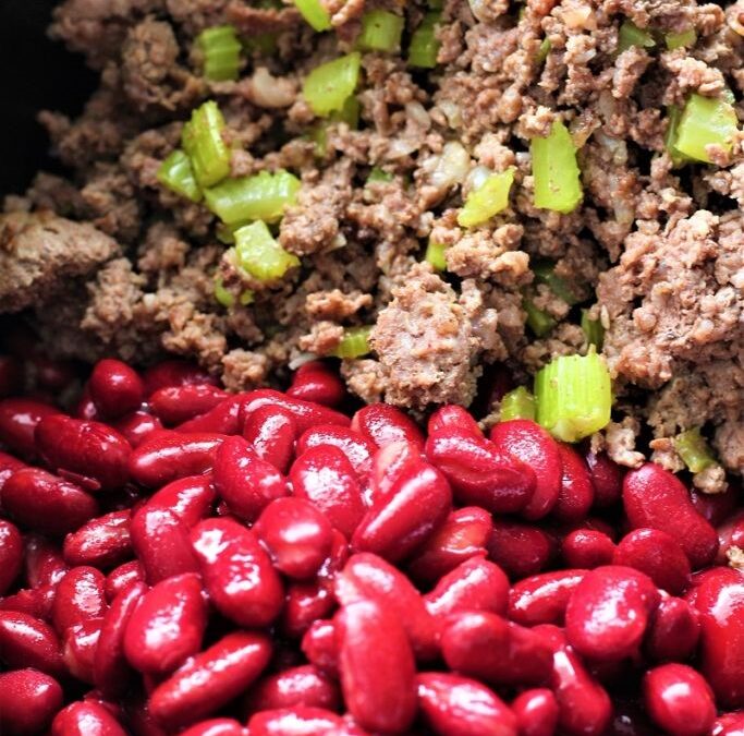 IMG_2895-683×1025 (2)