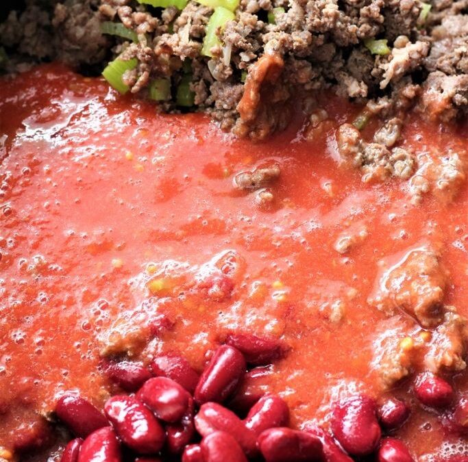 IMG_2899-683×1025 (2)