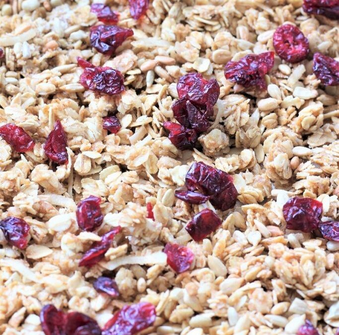 IMG_2993-683×1025 (2)