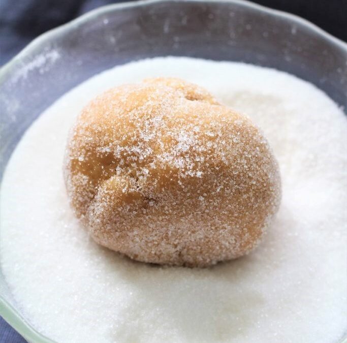 IMG_3335-683×1025 (2)