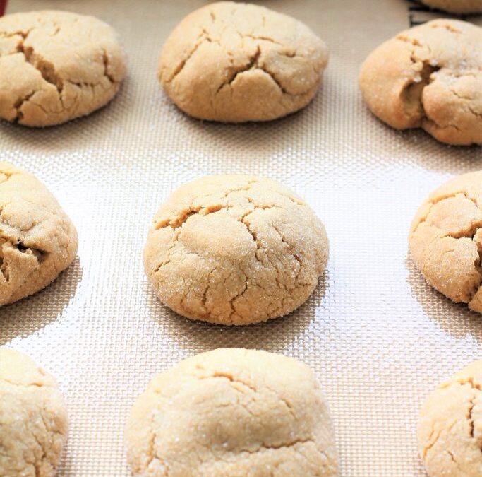 IMG_3351-683×1025 (2)