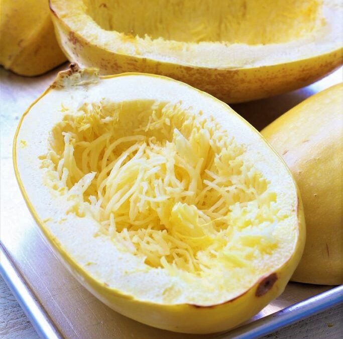 IMG_3439-683×1025 (2)