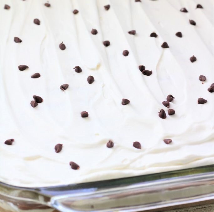 IMG_3557-683×1025 (2)