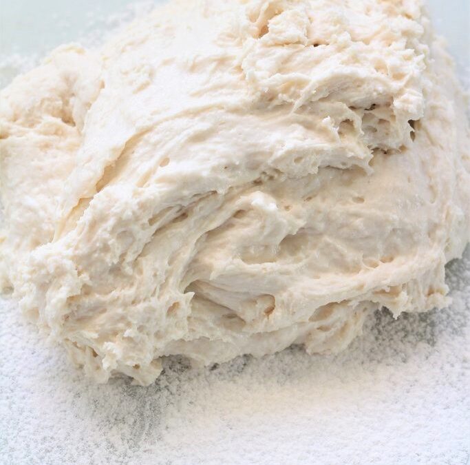 IMG_3656-683×1025 (2)