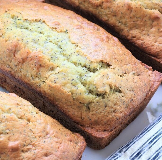 IMG_3744-684×1025 (2)