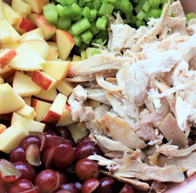 IMG_3904-683×1025 (2)