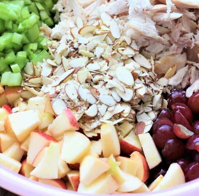 IMG_3908-683×1025 (2)