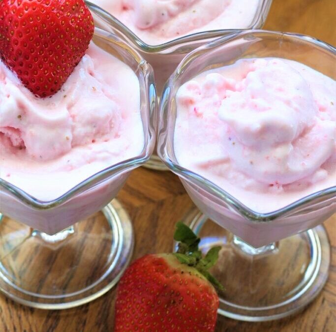 IMG_3938-683×1025 (2)