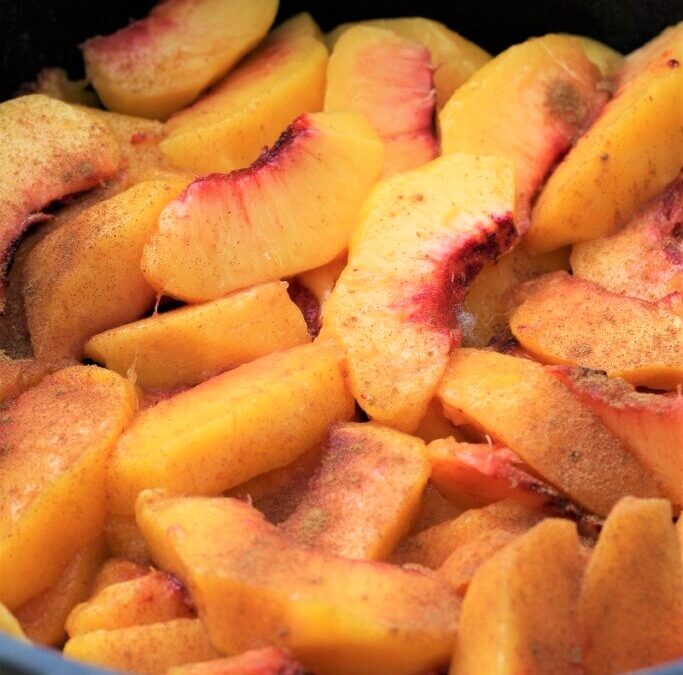 IMG_4190-1-683×1025 (2)