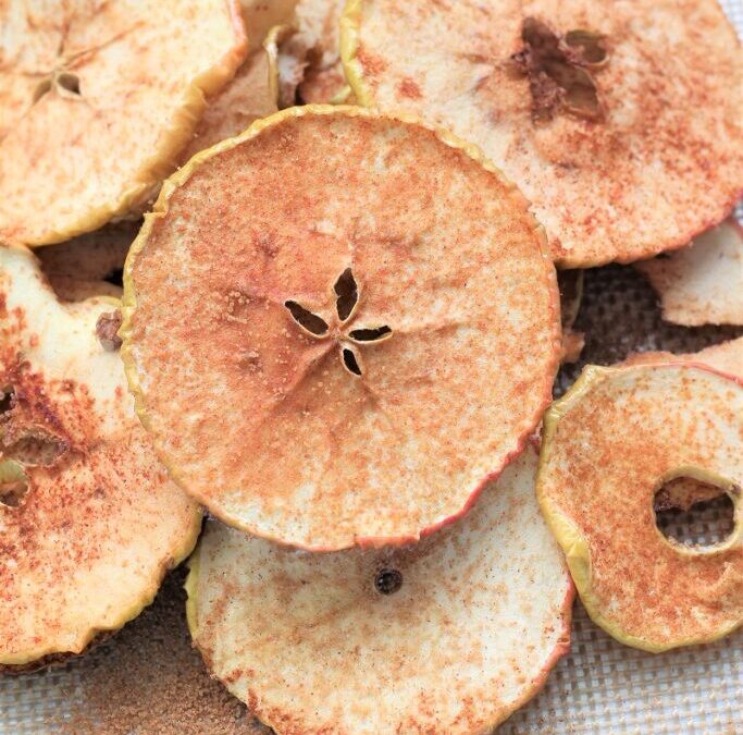 IMG_4333-683×1025 (2)