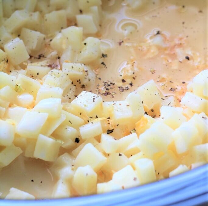 IMG_4376-683×1025 (2)